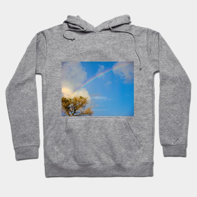 Blue sky and a beautiful rainbow | Photography Hoodie by Lizzamour